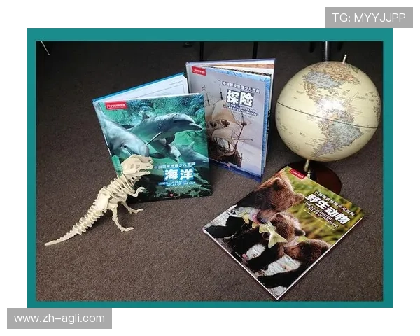 足球百科全书是否覆盖全球赛事、战术、人物与文化知识全景